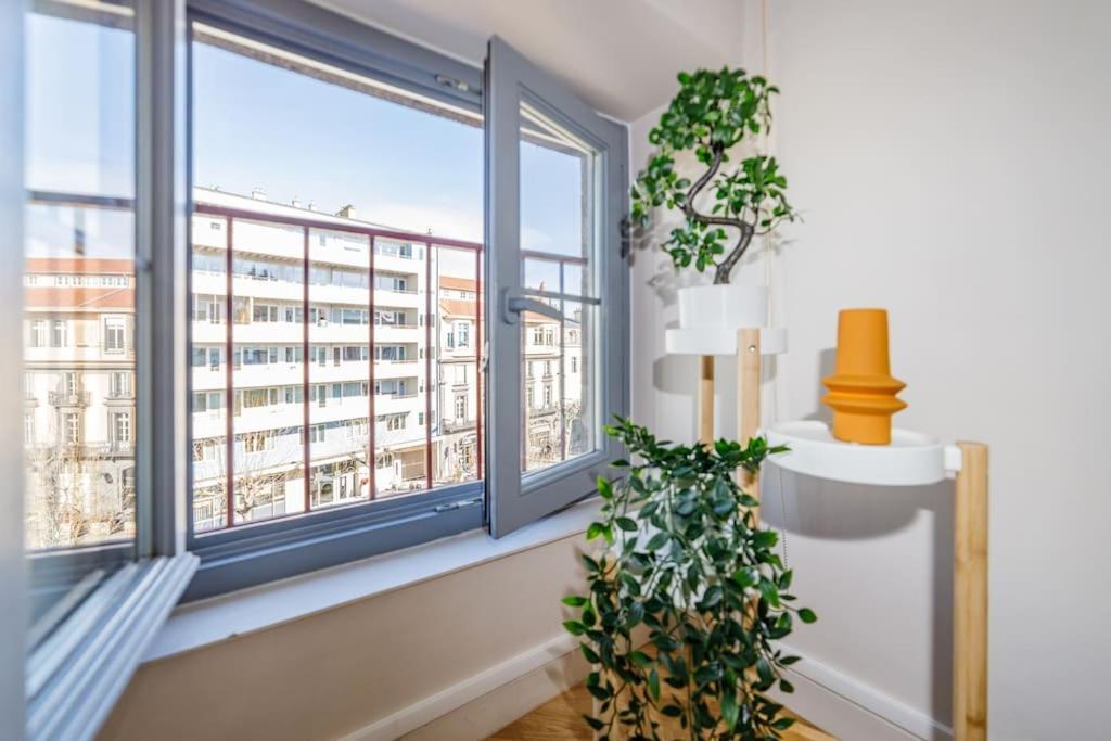 T2 Cozy Proche Du Centre Avec Canape Lit - 51Blatin Clermont-Ferrand Ngoại thất bức ảnh
